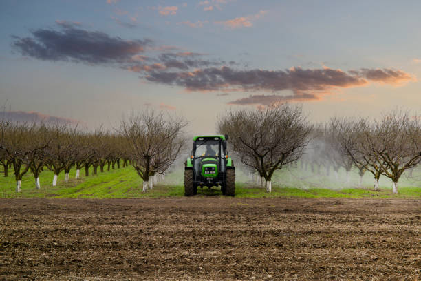 Combine dan Tractor