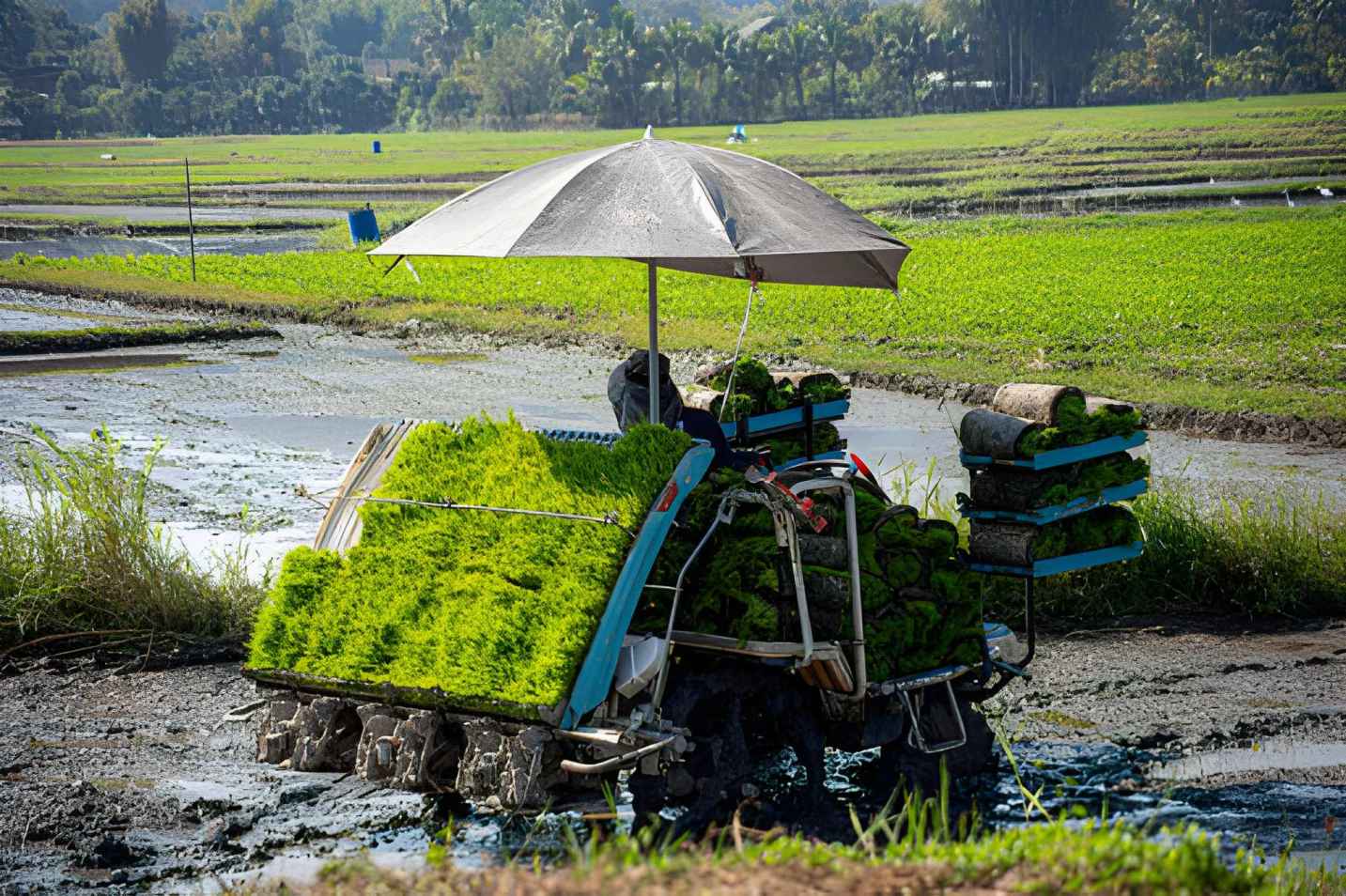 Cara Menggunakan Rice Transplanter