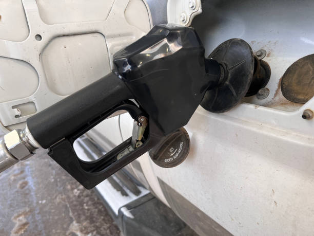 Fuel Feed Pump
