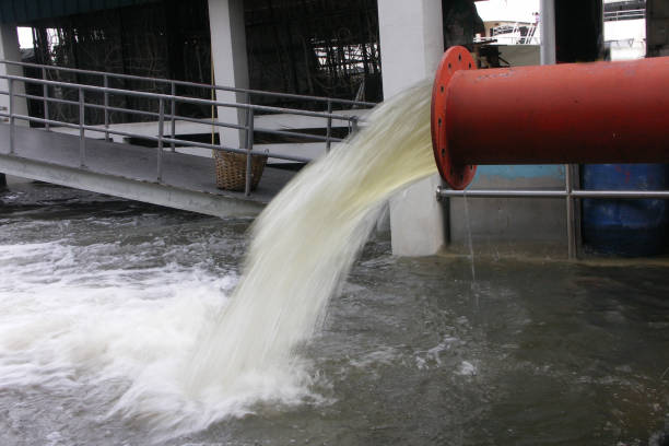 Peran Penting Alat Berat Dalam Mengatasi Banjir