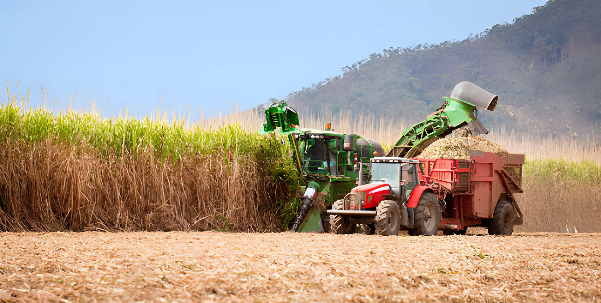 Komponen Sugarcane Harvester beserta Perannya