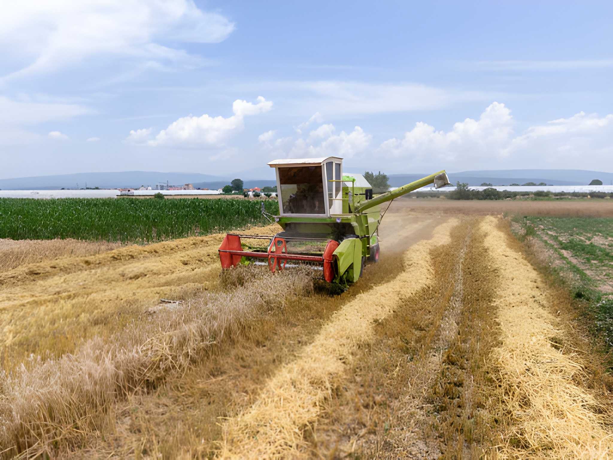 Manfaat dan Peran Combine Harvester di Pertanian