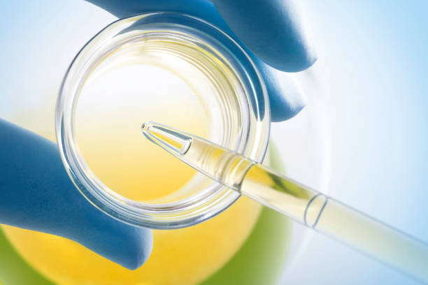 Cara-Cara Meningkatkan Efisiensi Oli pada Alat Berat