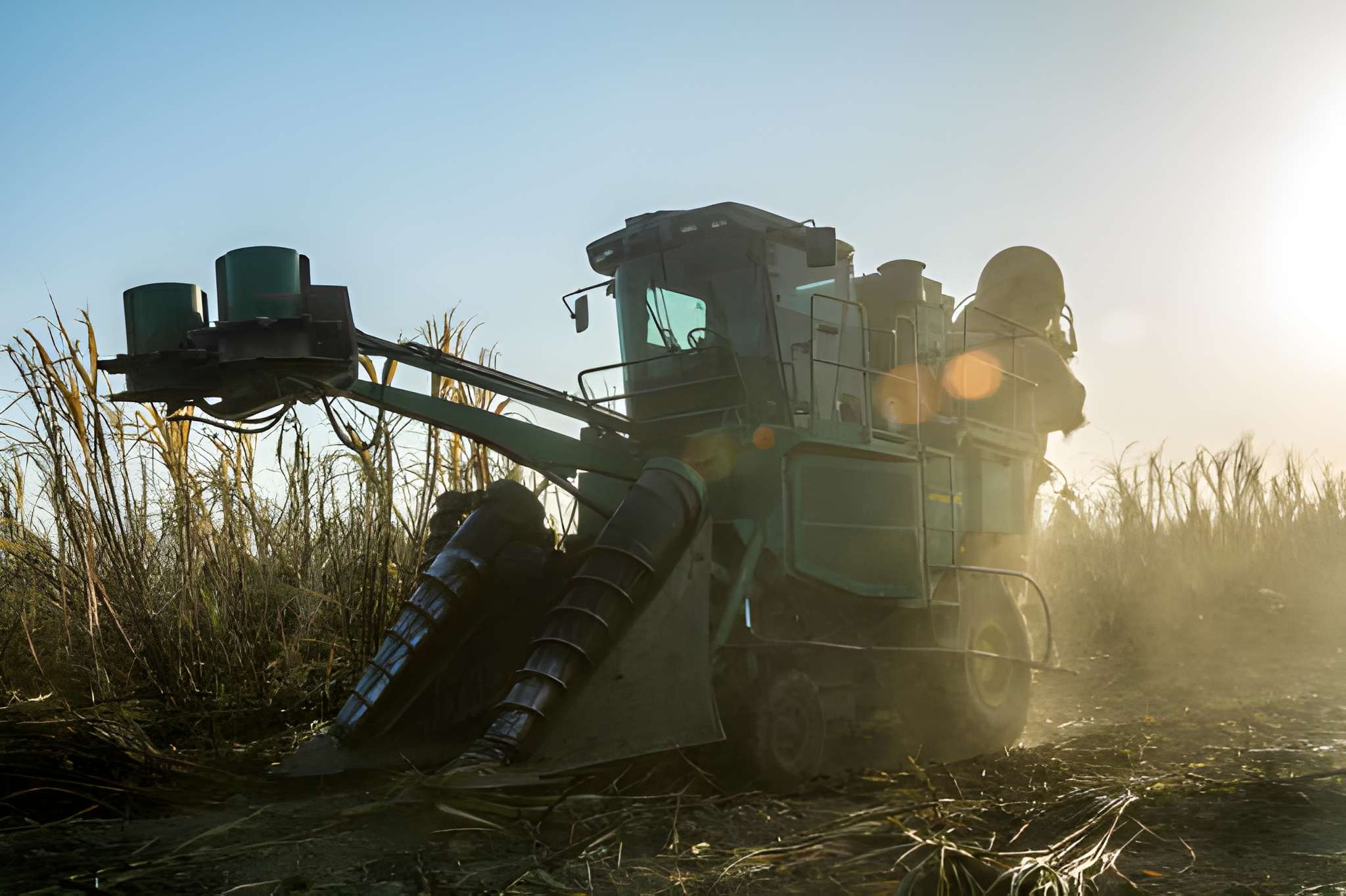 Pentingnya Komponen Sugarcane Harvester