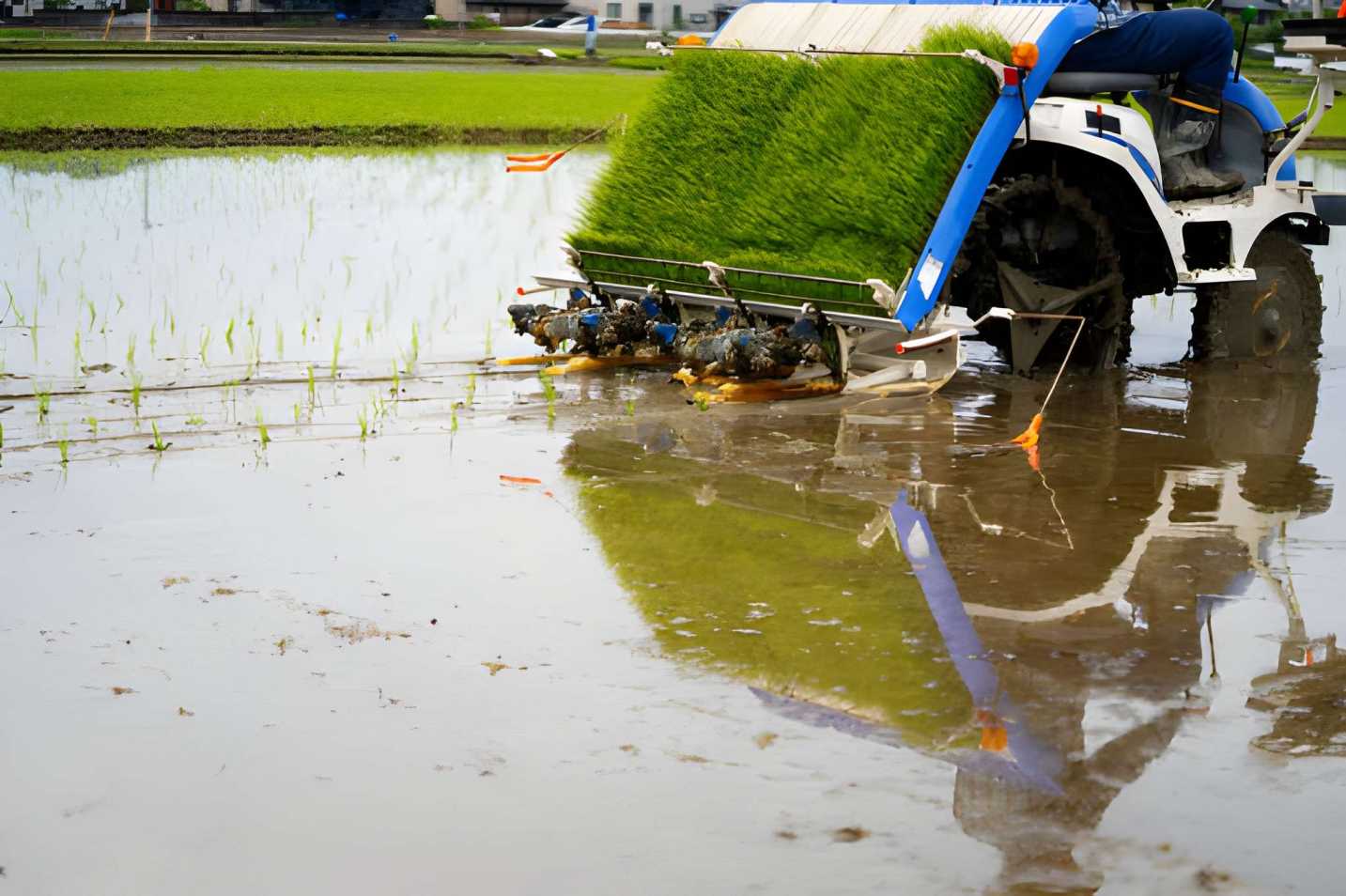Tips mudah Merawat Rice Transplanter