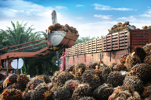 industri alat berat